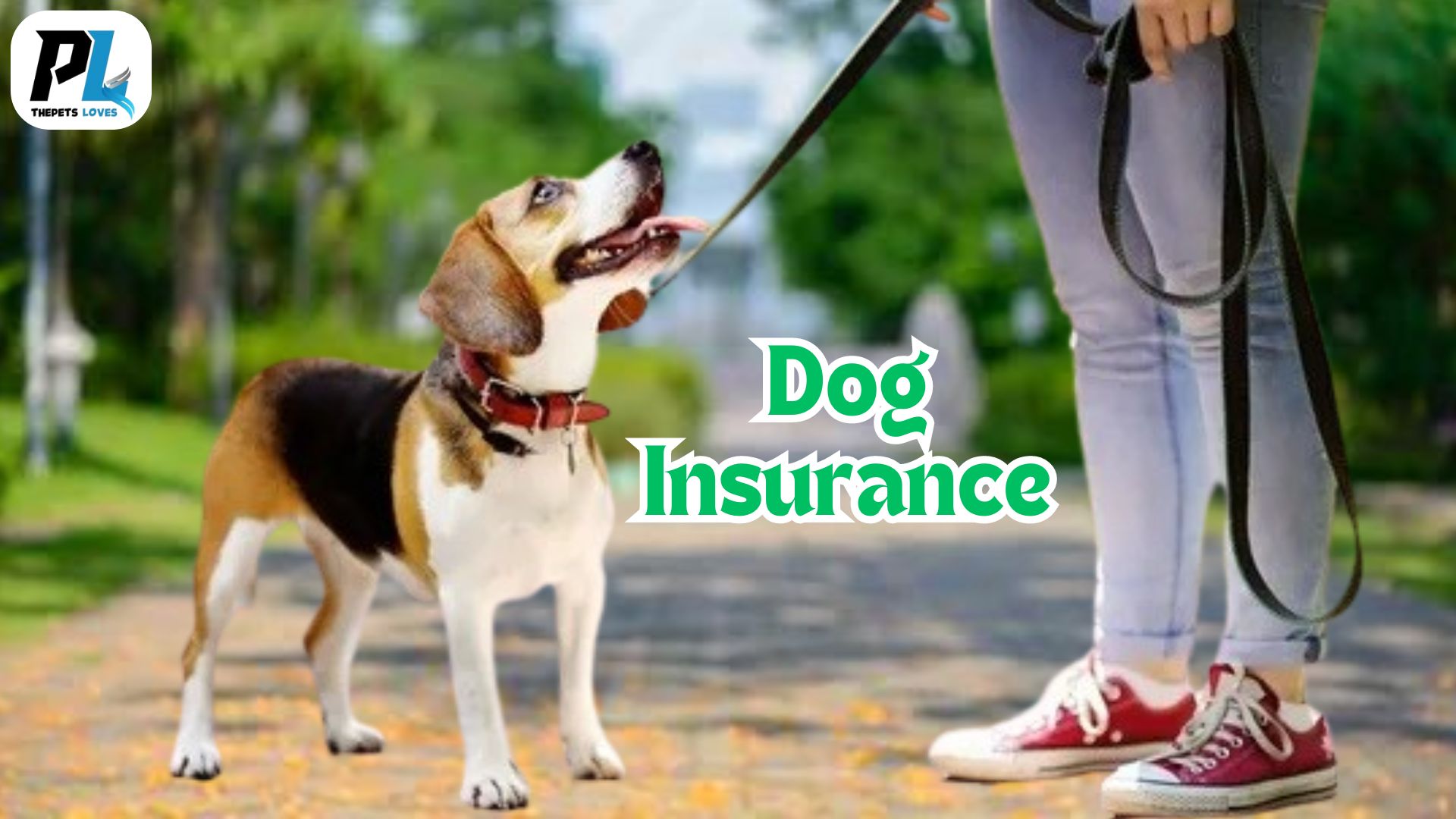 How Dog Insurance Save You from Unexpected Veterinary Costs