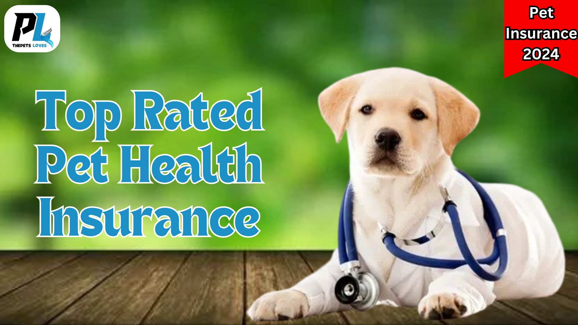 Pet Insurance