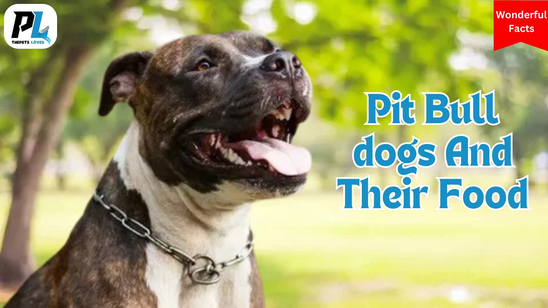 Describe The Wonderful Facts About Pit Bull dogs And Their Food